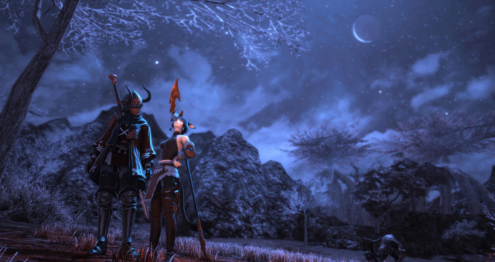 A trial traversing the Dravanian wilds.